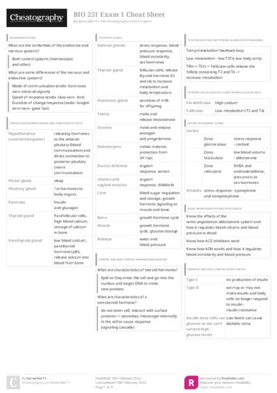 PDF (Colour) — Style 3