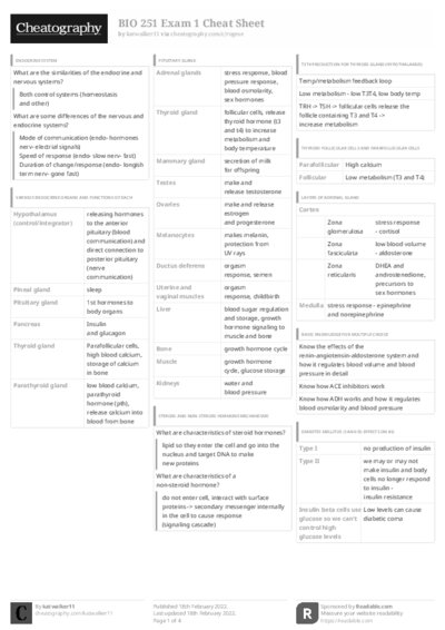 PDF (Black & white) — Style 3