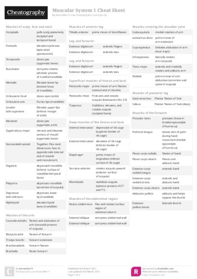 Muscular System 1 Cheat Sheet