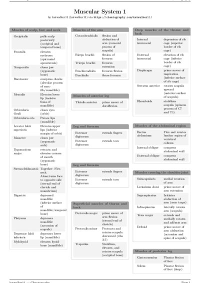 LaTeX (Compiled PDF)