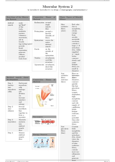 LaTeX (Compiled PDF)