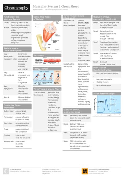 PDF (Colour) — Style 1