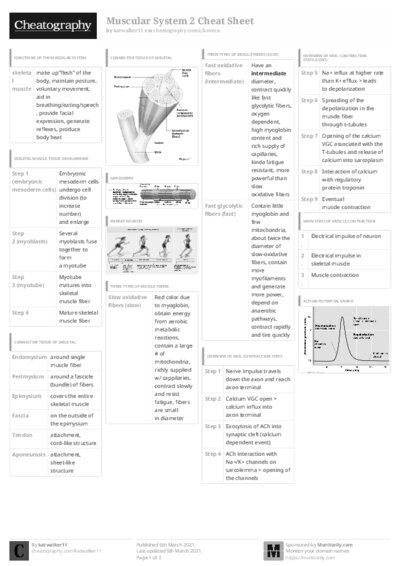 PDF (Black & white) — Style 3