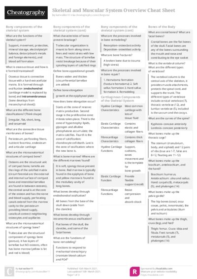 Skeletal and Muscular System Overview Cheat Sheet