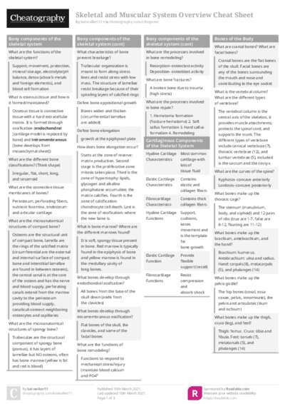 PDF (Colour) — Style 1