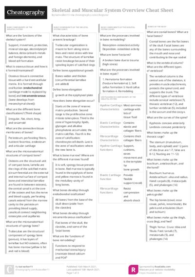 PDF (Colour) — Style 3