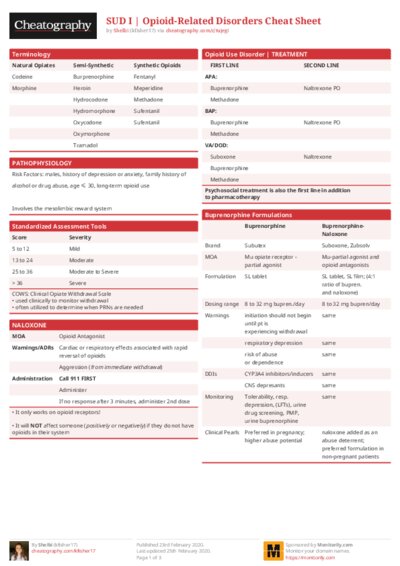 PDF (Colour) — Style 1
