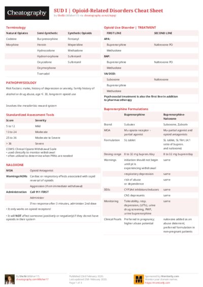 PDF (Colour) — Style 2