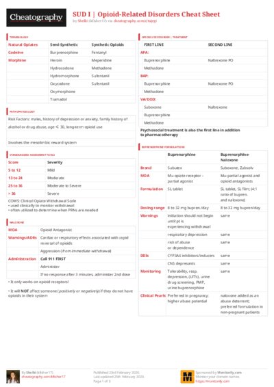 PDF (Colour) — Style 3