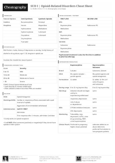 PDF (Black & white) — Style 3
