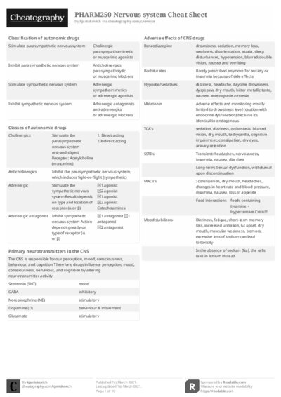 PDF (Black & white) — Style 2