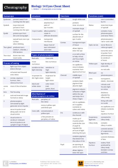 PDF (Colour) — Style 1