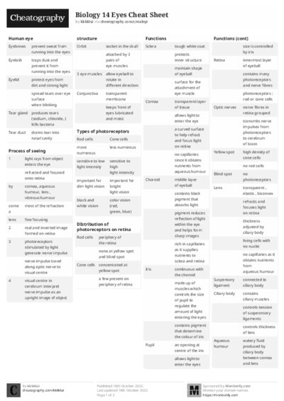 PDF (Black & white) — Style 2