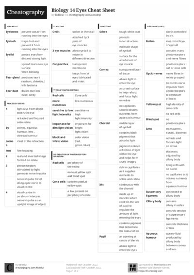 PDF (Black & white) — Style 3