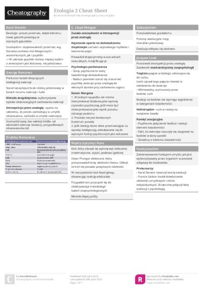 PDF (Colour) — Style 1