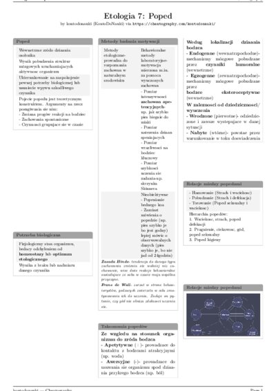 LaTeX (Compiled PDF)