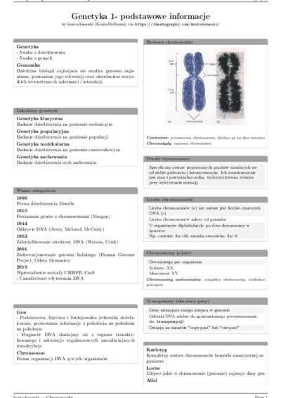 LaTeX (Compiled PDF)