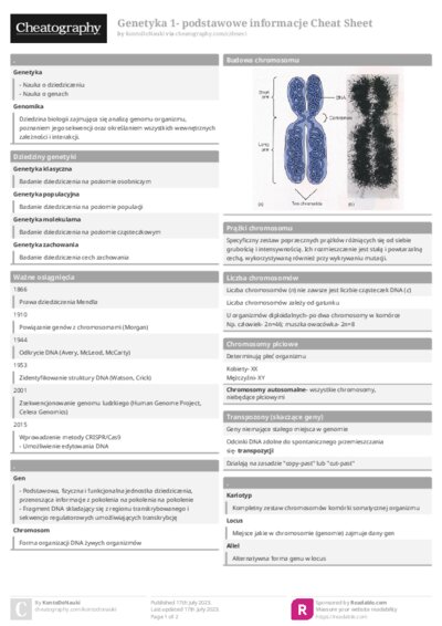 PDF (Colour) — Style 1