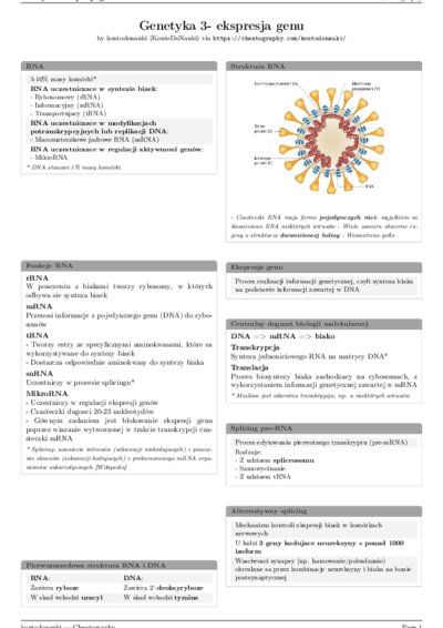 LaTeX (Compiled PDF)