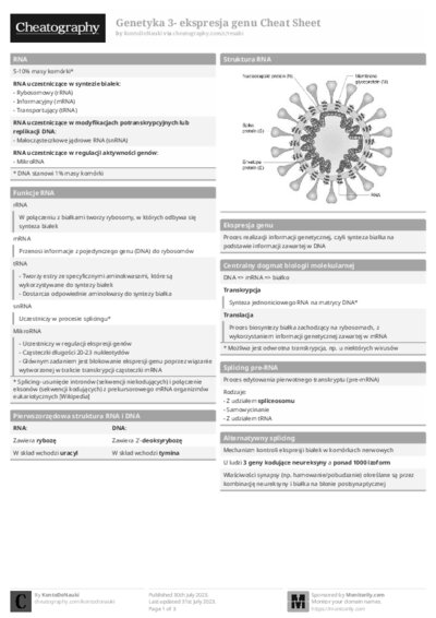 PDF (Black & white) — Style 1