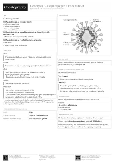 PDF (Black & white) — Style 3