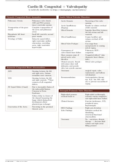 LaTeX (Compiled PDF)