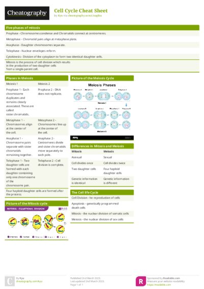 PDF (Colour) — Style 1