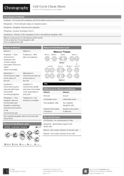 PDF (Black & white) — Style 1