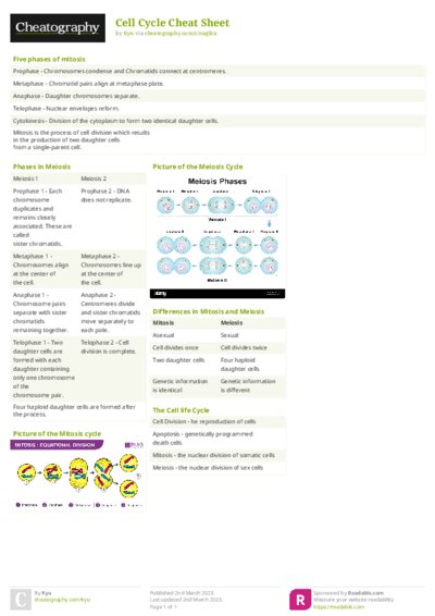 PDF (Colour) — Style 2