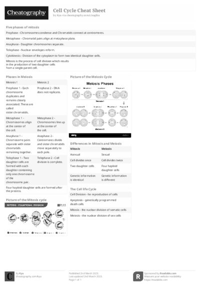 PDF (Black & white) — Style 2