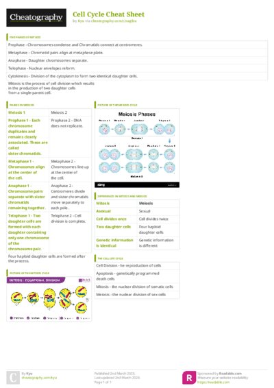 PDF (Colour) — Style 3