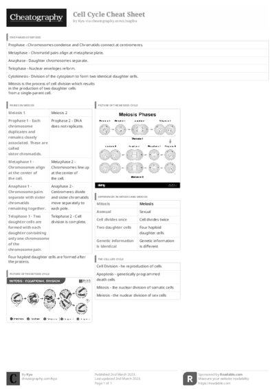 PDF (Black & white) — Style 3