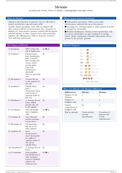 LaTeX (Compiled PDF)