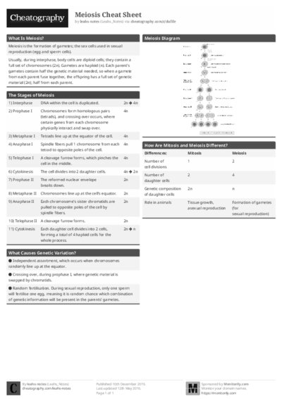 PDF (Black & white) — Style 1