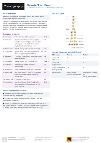PDF (Colour) — Style 2