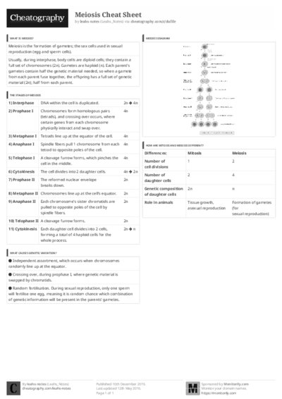 PDF (Black & white) — Style 3