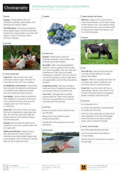 PDF (Colour) — Style 3