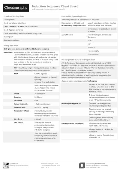 PDF (Black & white) — Style 2