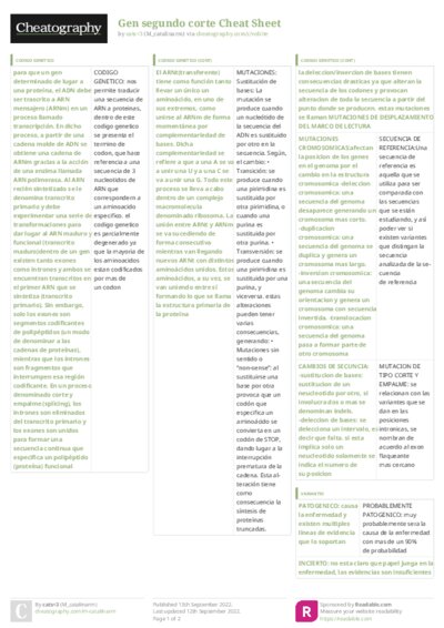 PDF (Colour) — Style 3