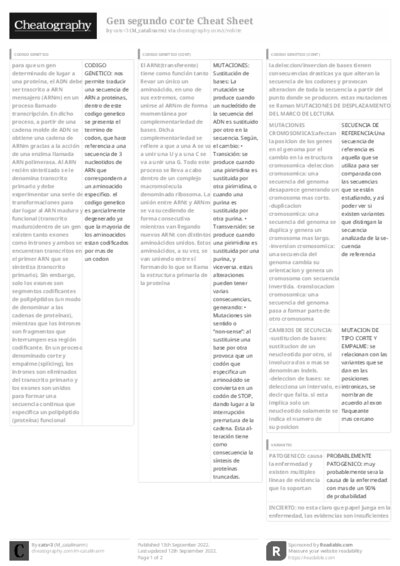 PDF (Black & white) — Style 3
