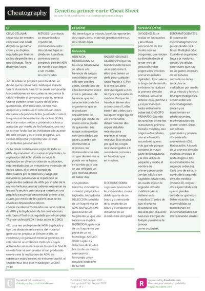 PDF (Colour) — Style 1