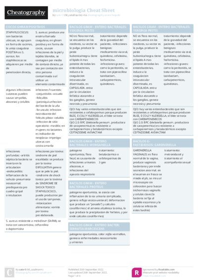 PDF (Colour) — Style 1