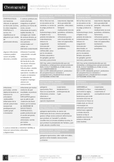 PDF (Black & white) — Style 1