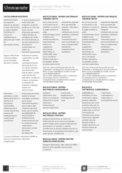 PDF (Black & white) — Style 2