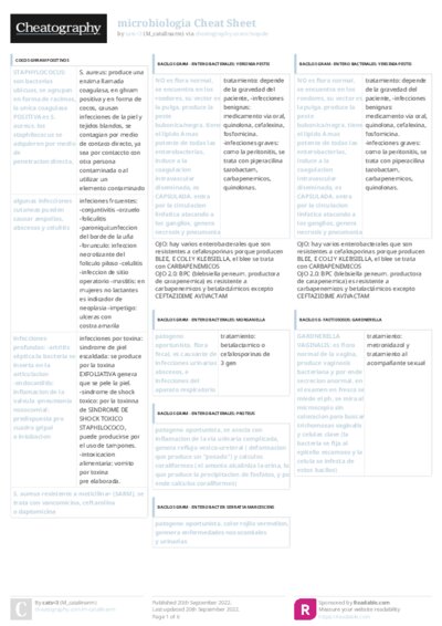 PDF (Colour) — Style 3