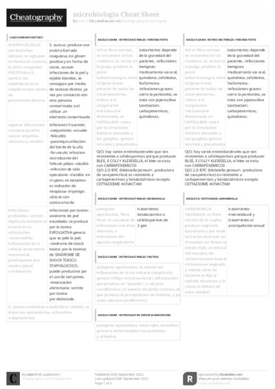 PDF (Black & white) — Style 3