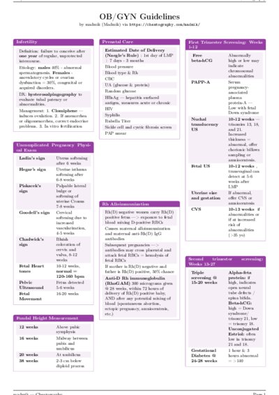 LaTeX (Compiled PDF)