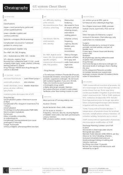 PDF (Black & white) — Style 3