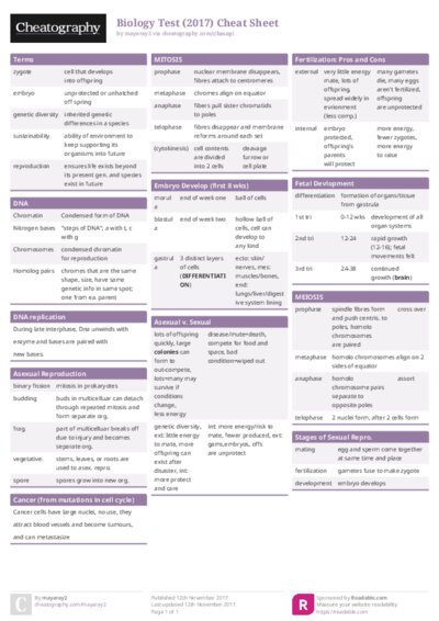 PDF (Colour) — Style 1