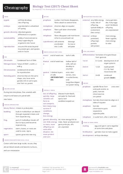 PDF (Colour) — Style 3